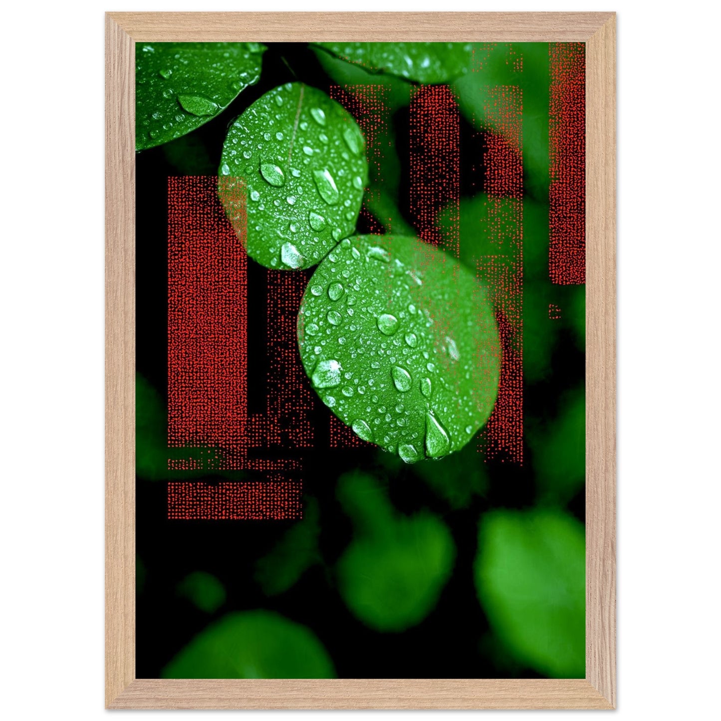 01951076-61ad-4ea4-ad07-a336a4eac355