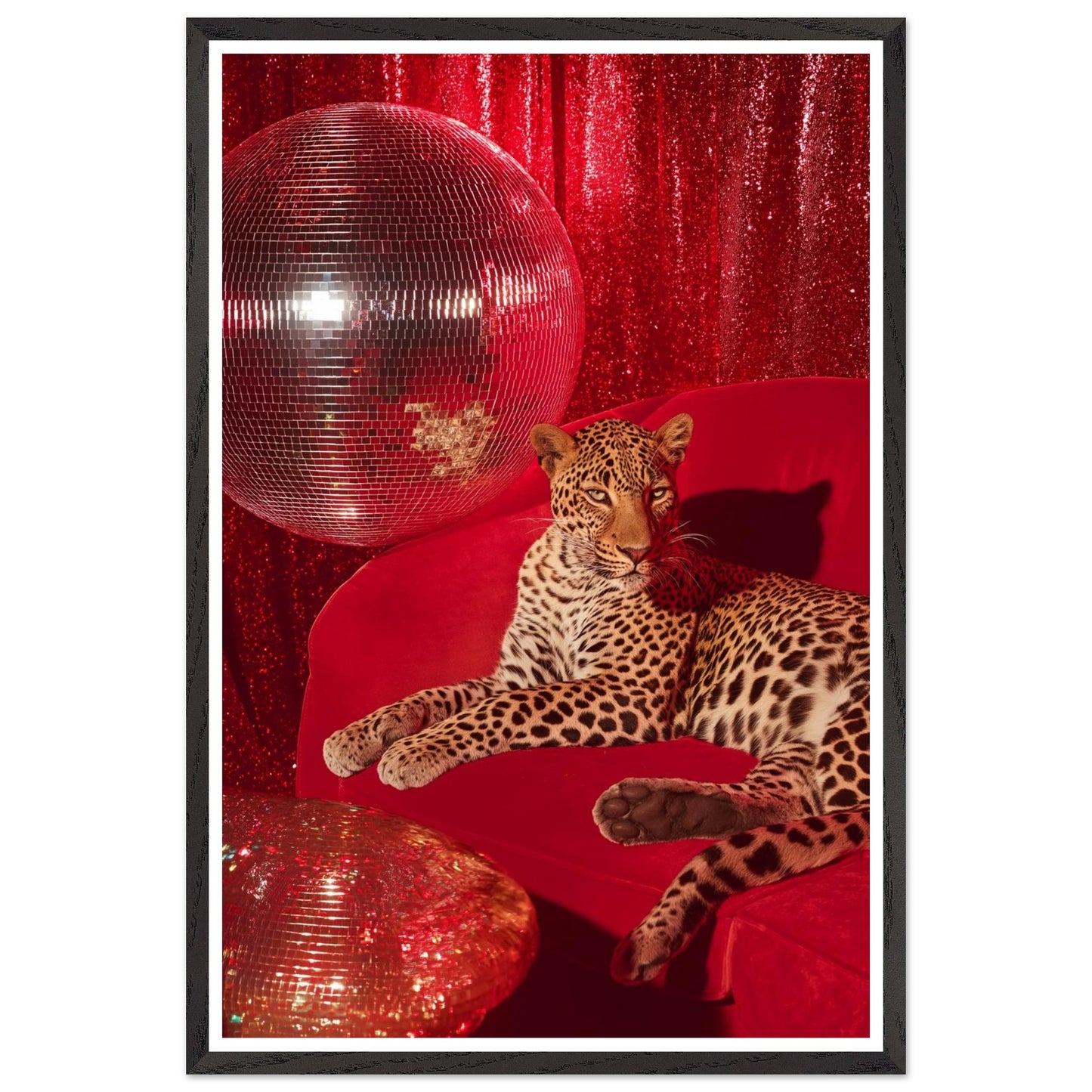 0401c4b1-18e5-41ae-9de6-39df09c0a33e