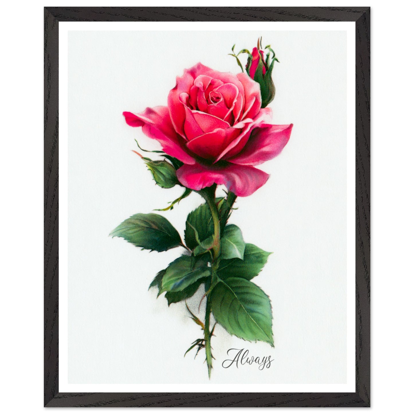 07d98d38-3f79-4b49-93e1-cb681b5f2d7c