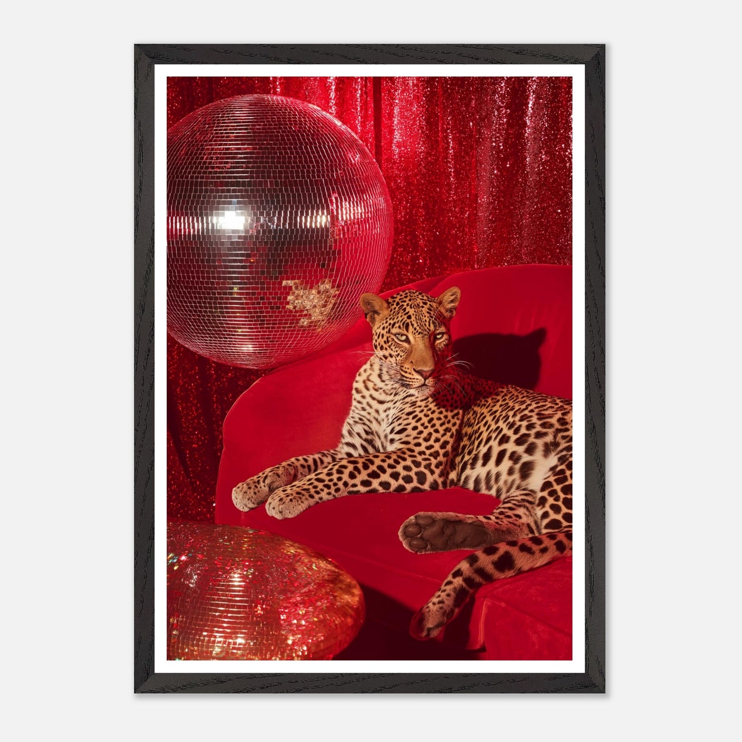 081d8175-4d70-401d-b620-586c78cf7c50