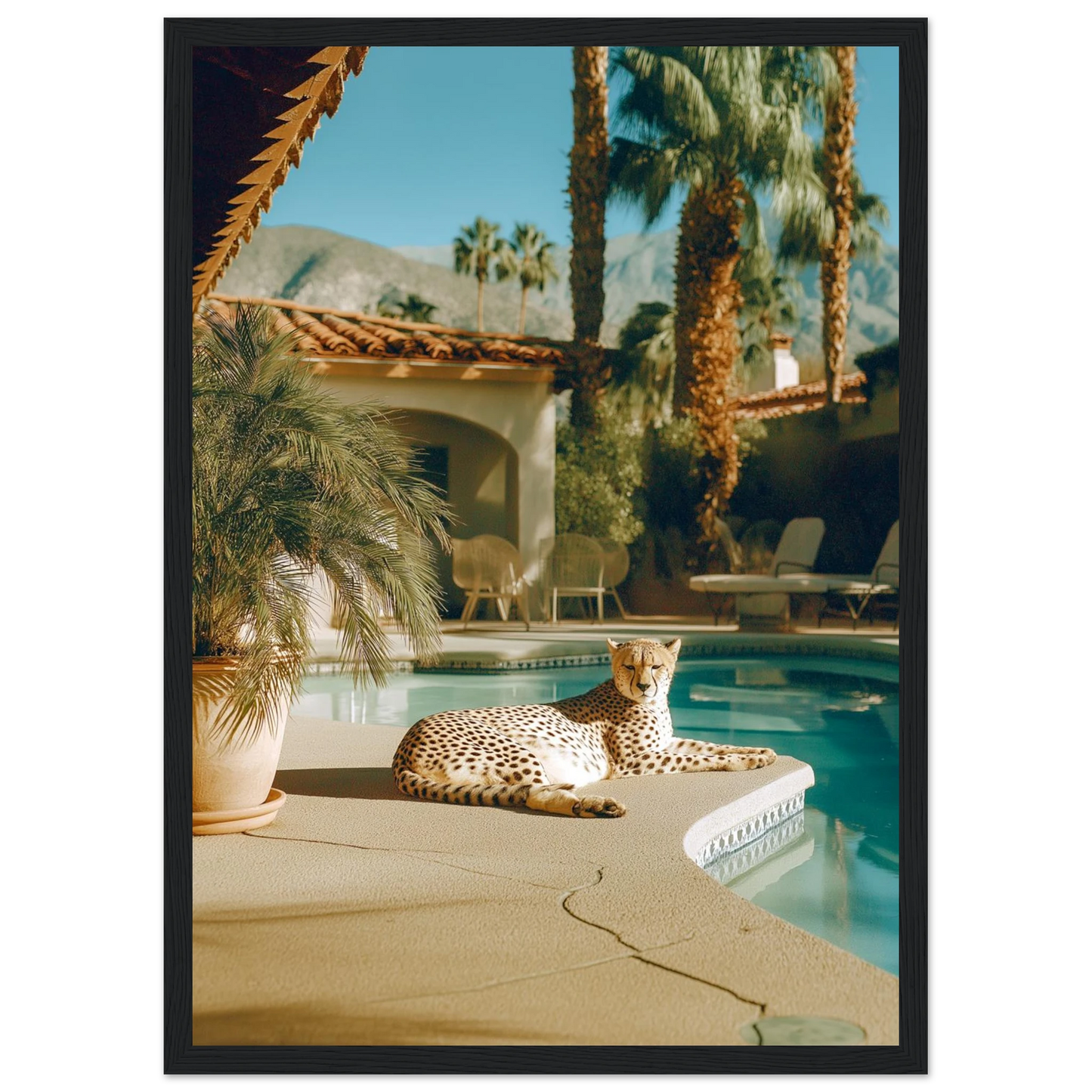 083d6c62-df75-497f-8ab5-de3d0d6ff288