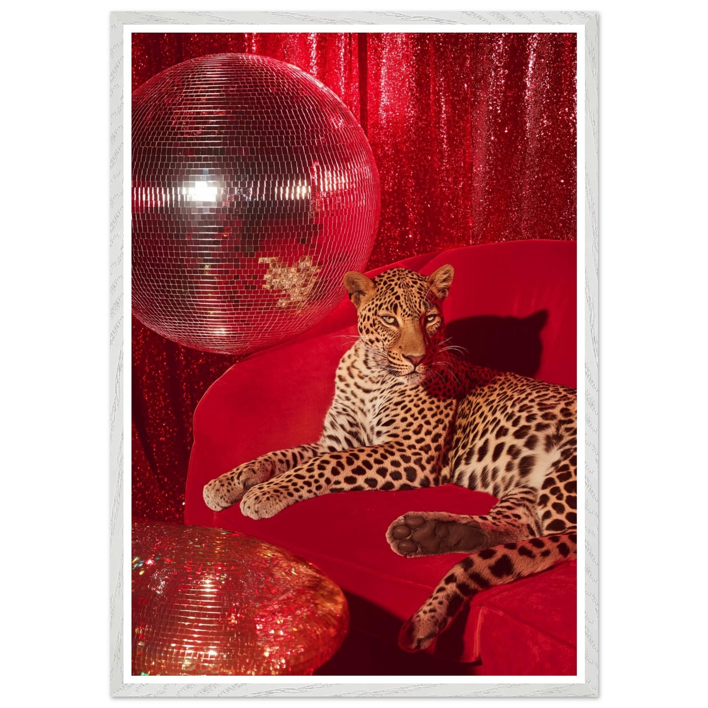 0cb62358-f076-4af5-ac6c-abaaeff76b74