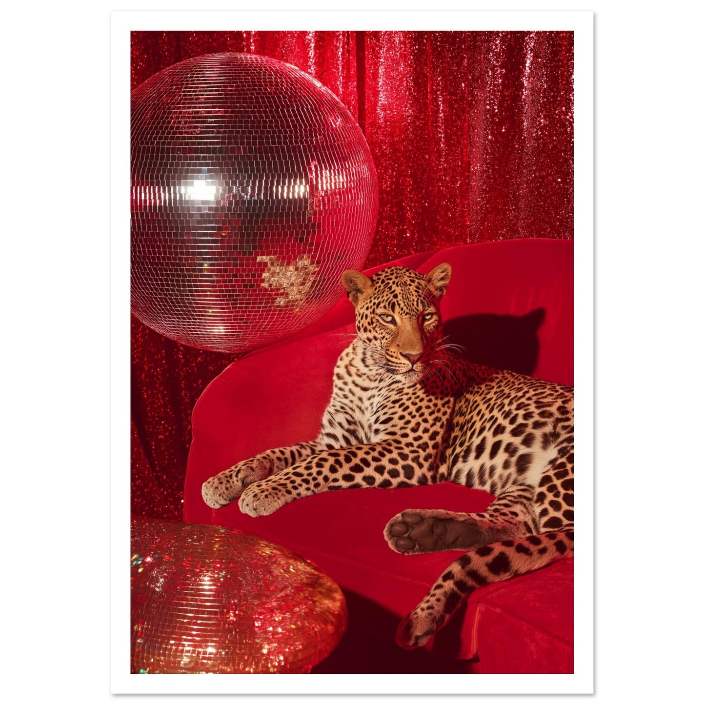 0d27e238-617f-4fa6-bd8e-2bcbe99bad50