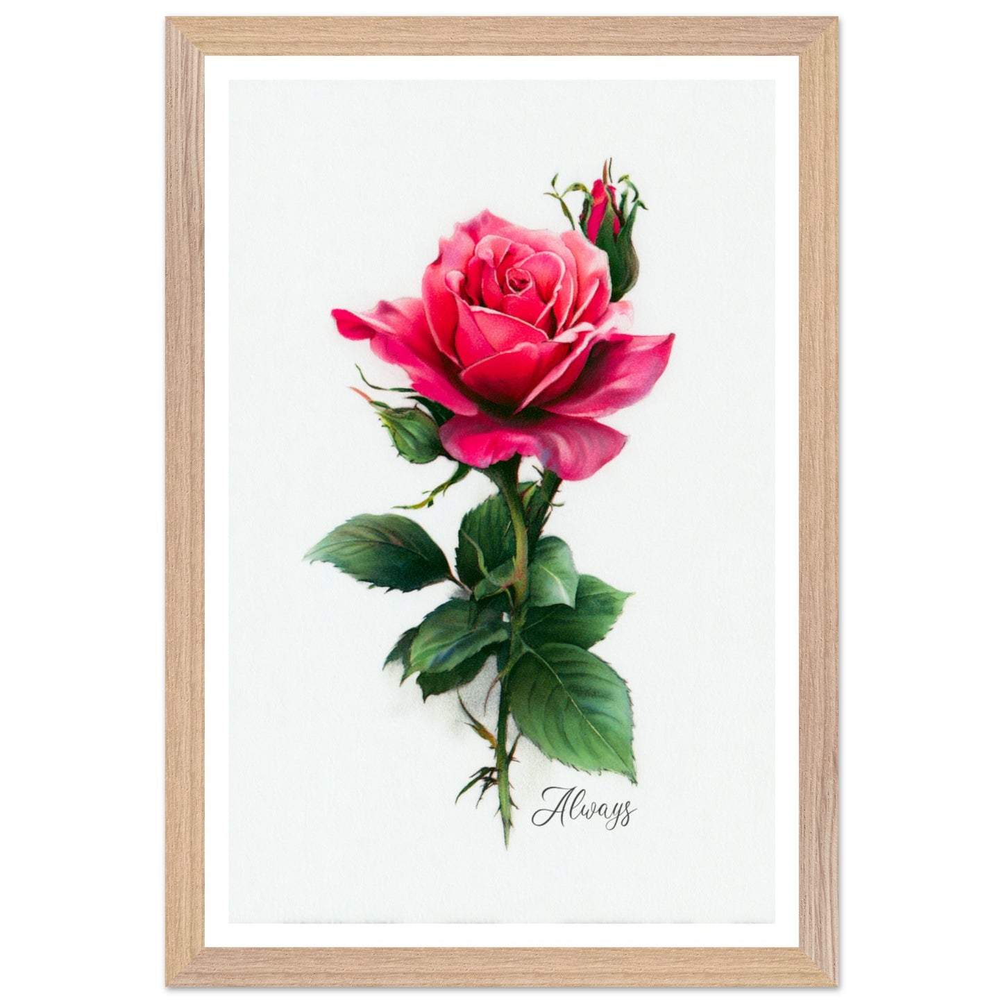 123d5082-b195-483f-b586-b487e8963cb5