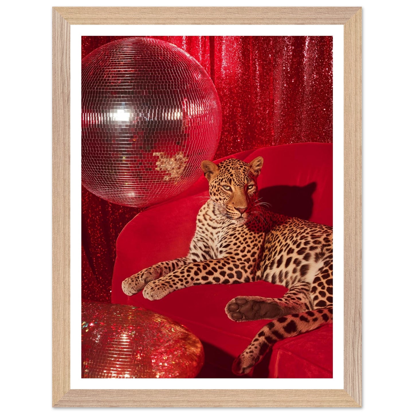 126d4b58-1f30-41fe-babc-1b4cbd03163e