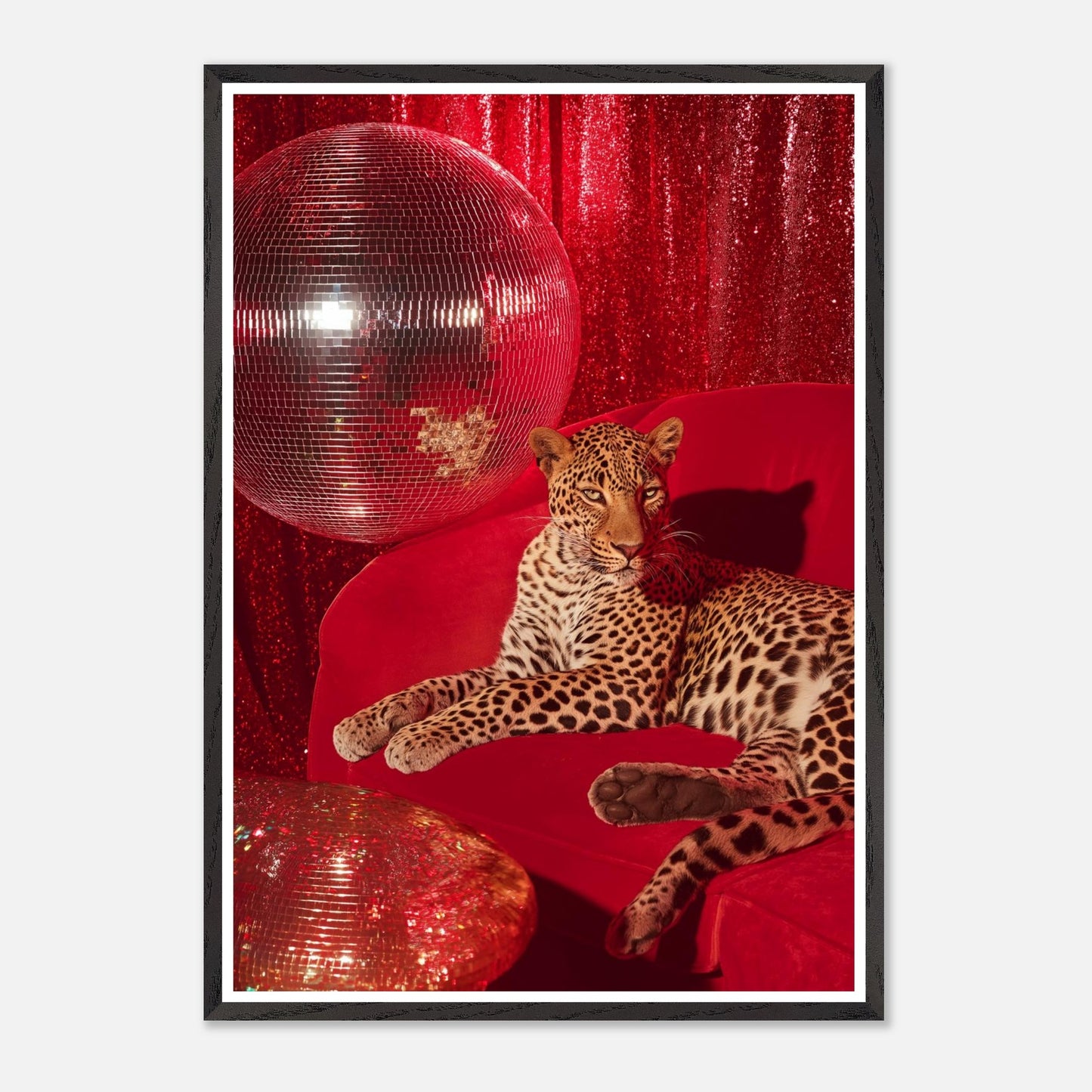 16bb6eef-59e5-406f-bcc8-b98d75b2d92e