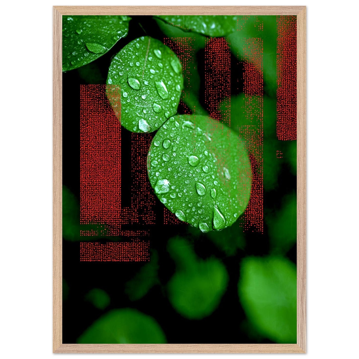 1ce847bb-1360-450d-ab94-f81ffae39fcf