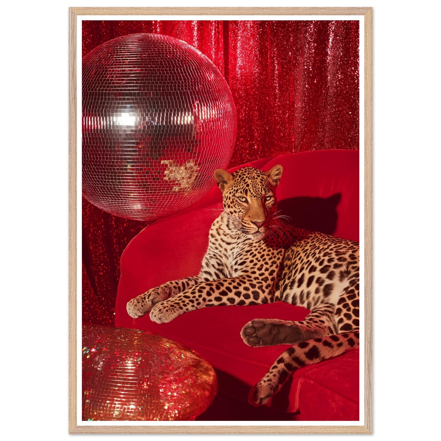 246fbcaf-ec33-47b7-a539-aff0df9d651f