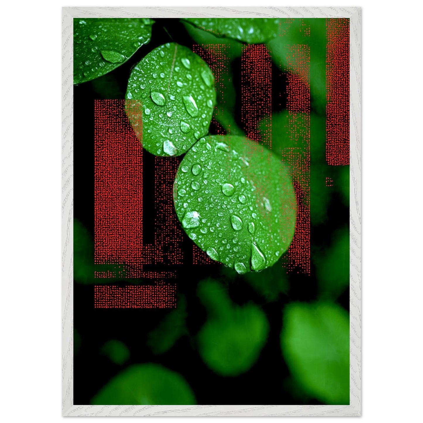 24b8663c-9c7b-4f9a-a531-6b9d65aa42a0