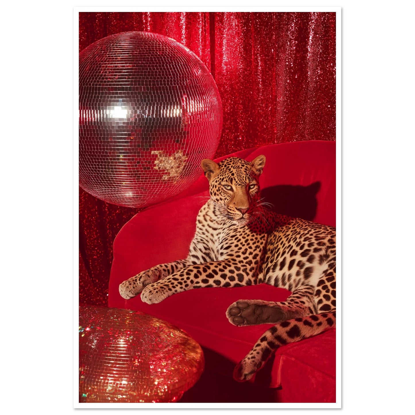 2c2e222b-96a5-4b0e-a7db-88aa14cee31b