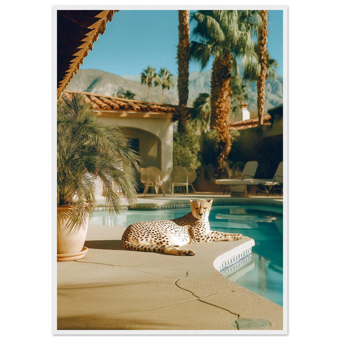 2fe82075-5d3d-4242-ab80-043a49081cf3