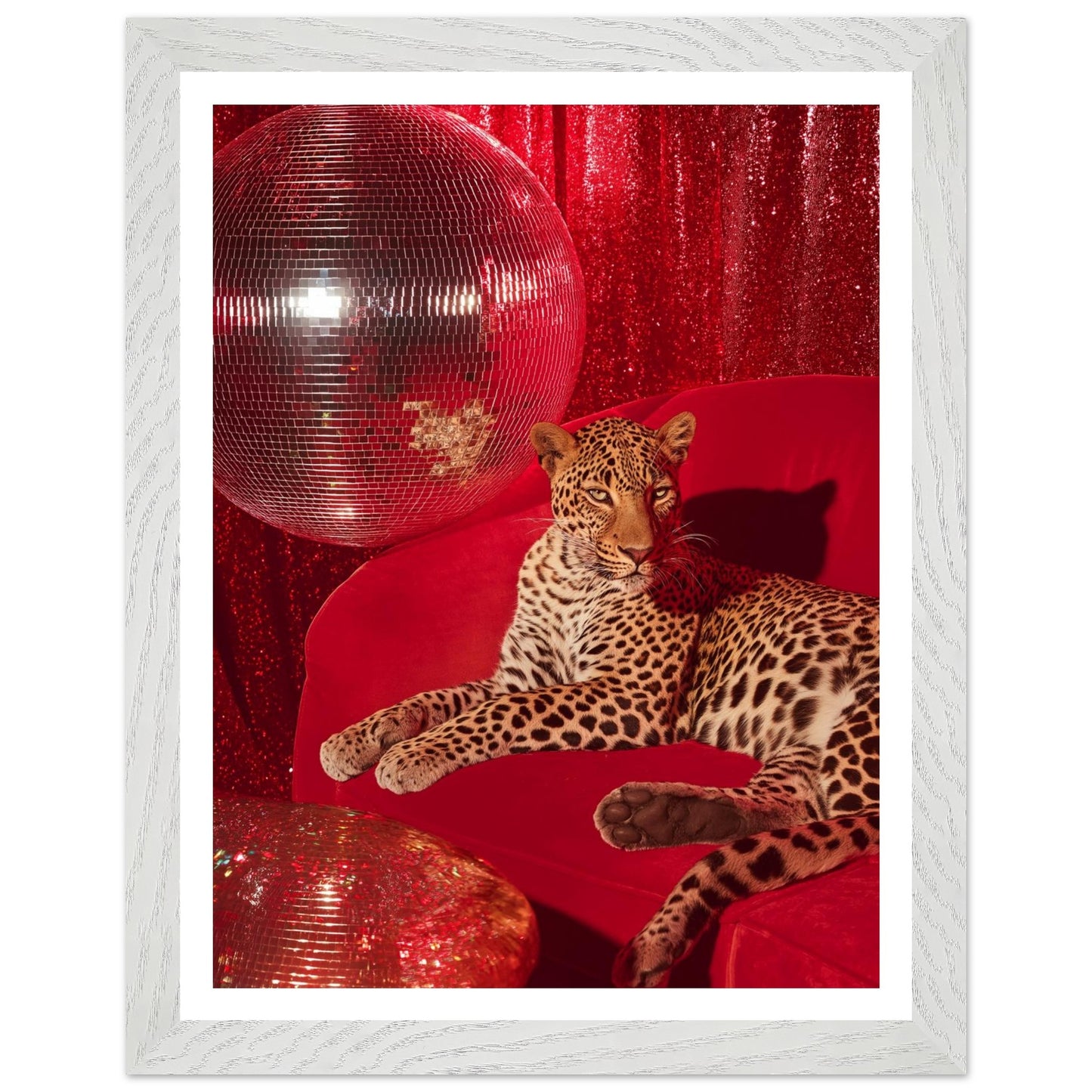 326c8952-39f6-4b9e-a4ef-7b191f0da085