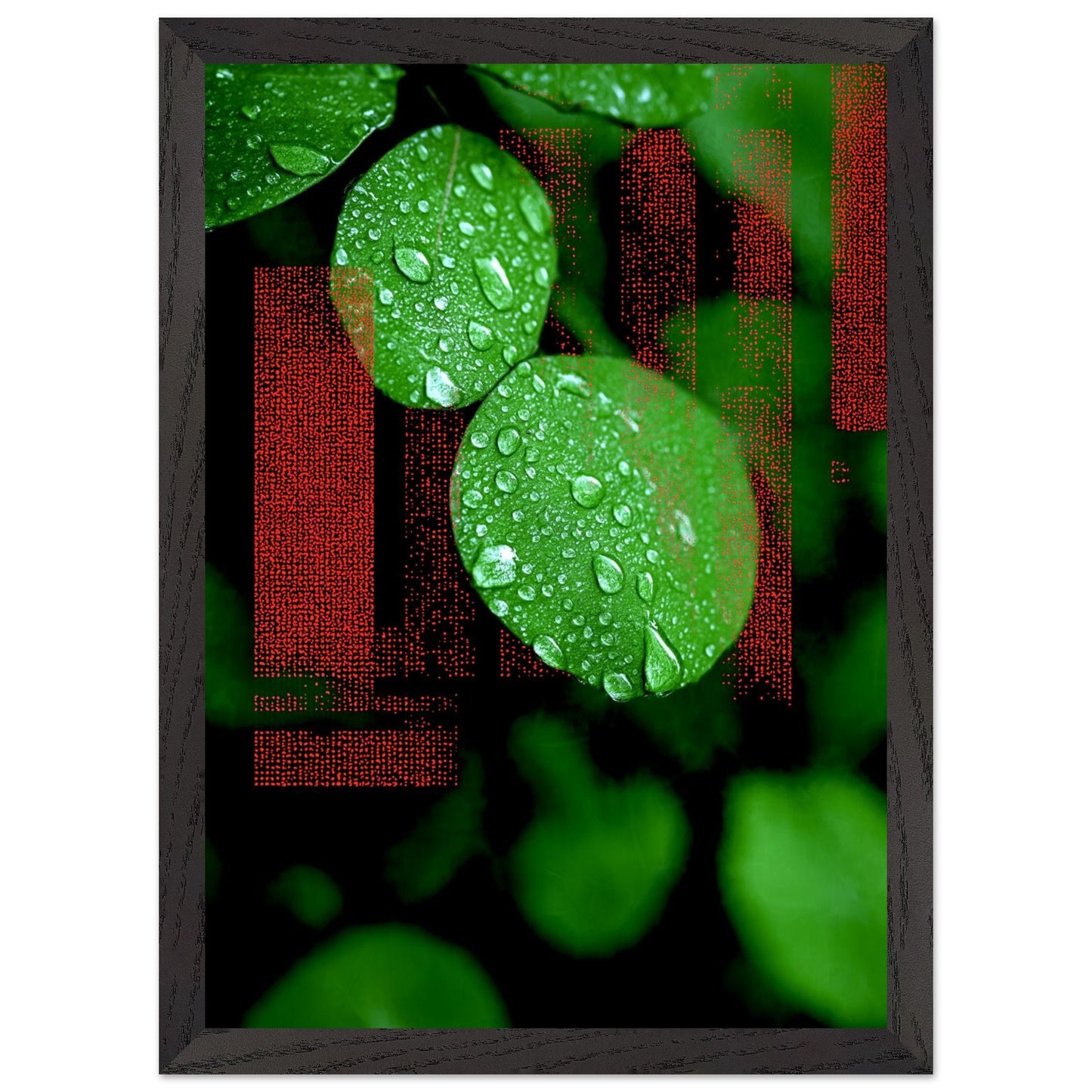 33d9d439-16f7-4e1f-843c-fc7d7f32367e