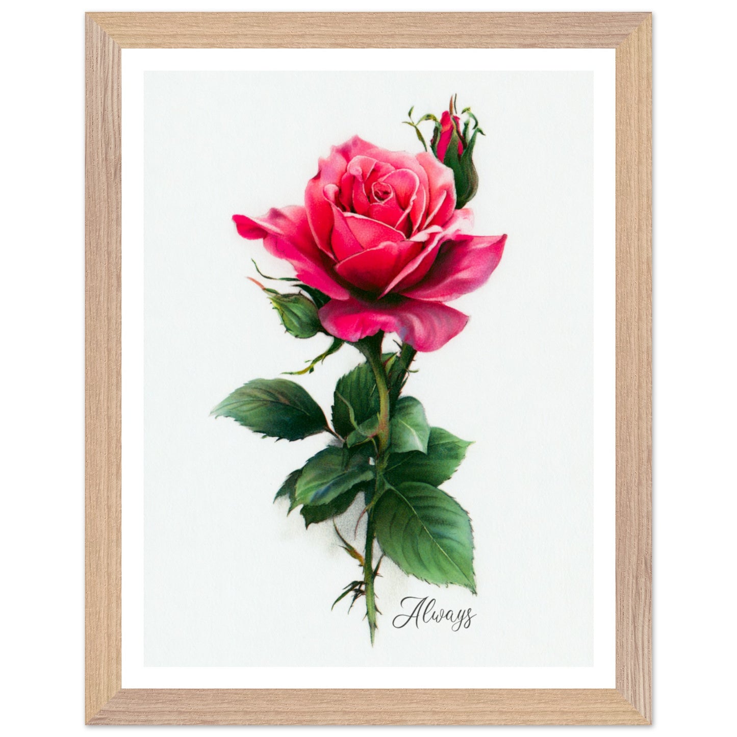 344cfdc4-403d-4c76-a066-be71c123be11