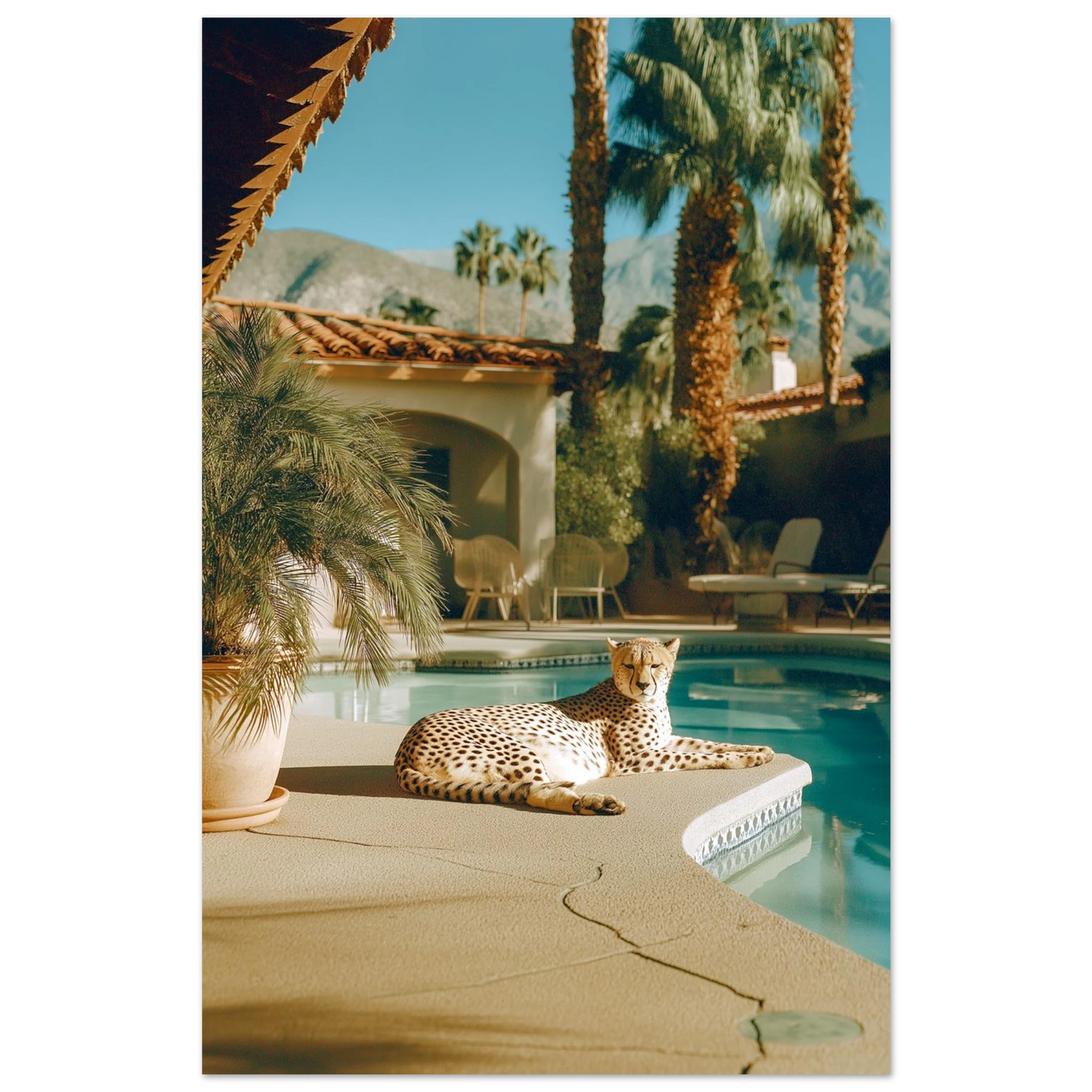 4190af52-a83c-47d2-ac4c-c3ac75f5420e