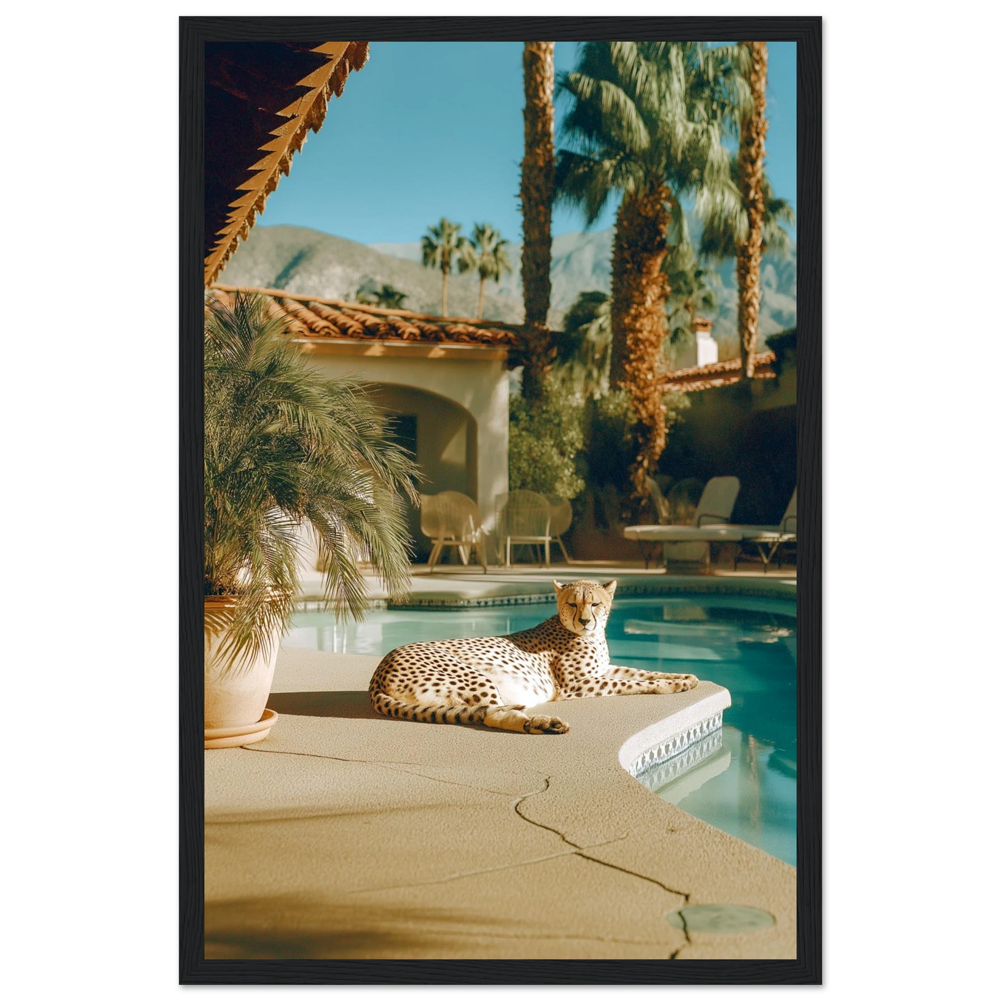 47bc5c38-75e3-4f2c-875a-774821f65296