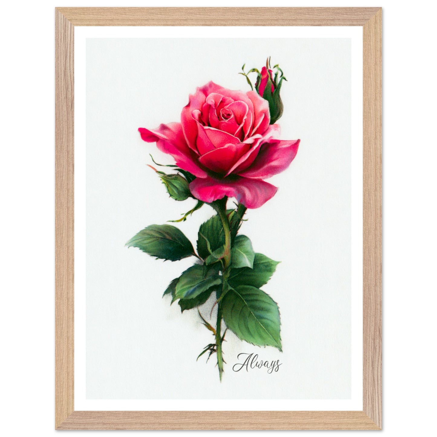 4af6a3c8-711e-4cf8-bba7-20e832d63b5f