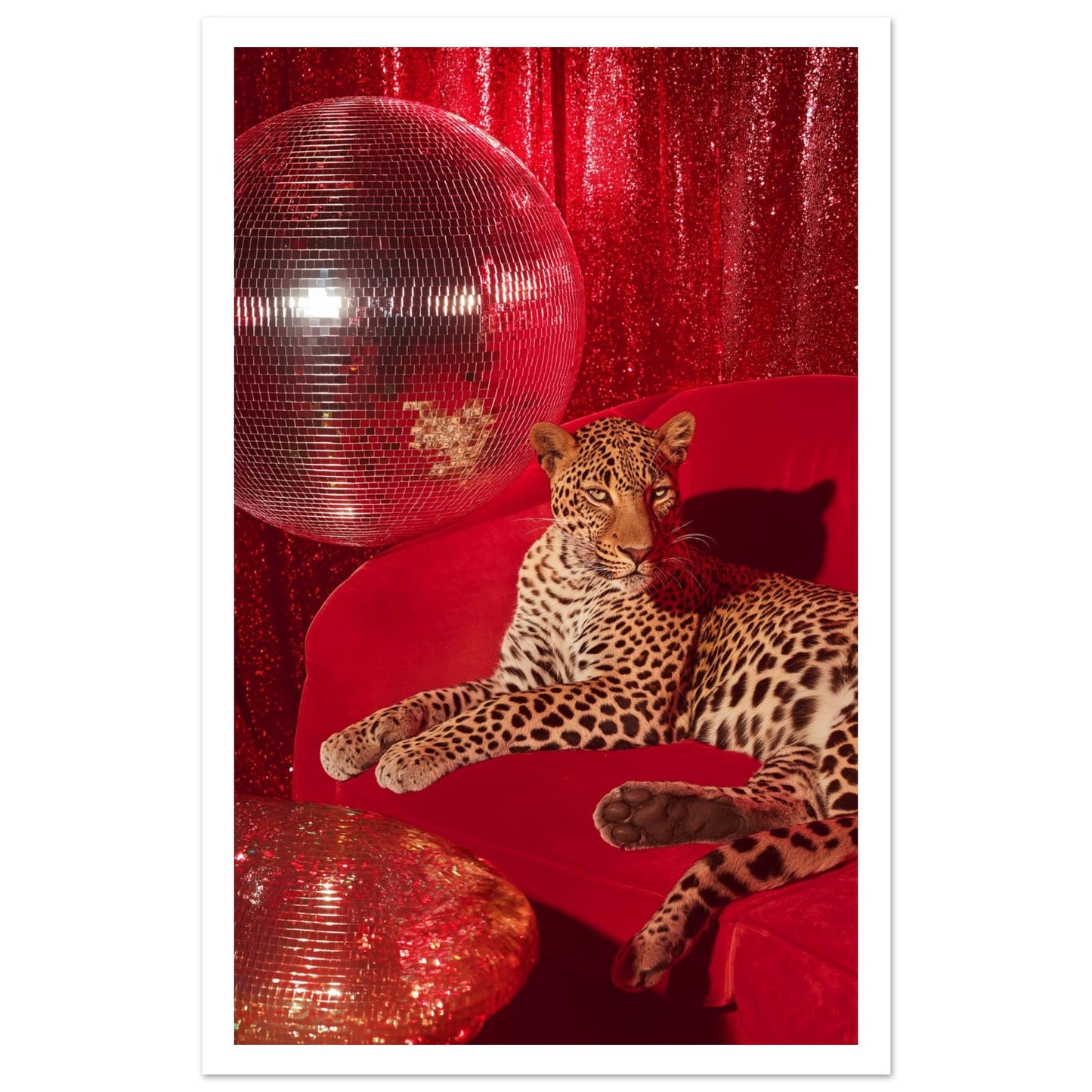 50ab4b6f-0339-45fd-946a-c125132e4e3f