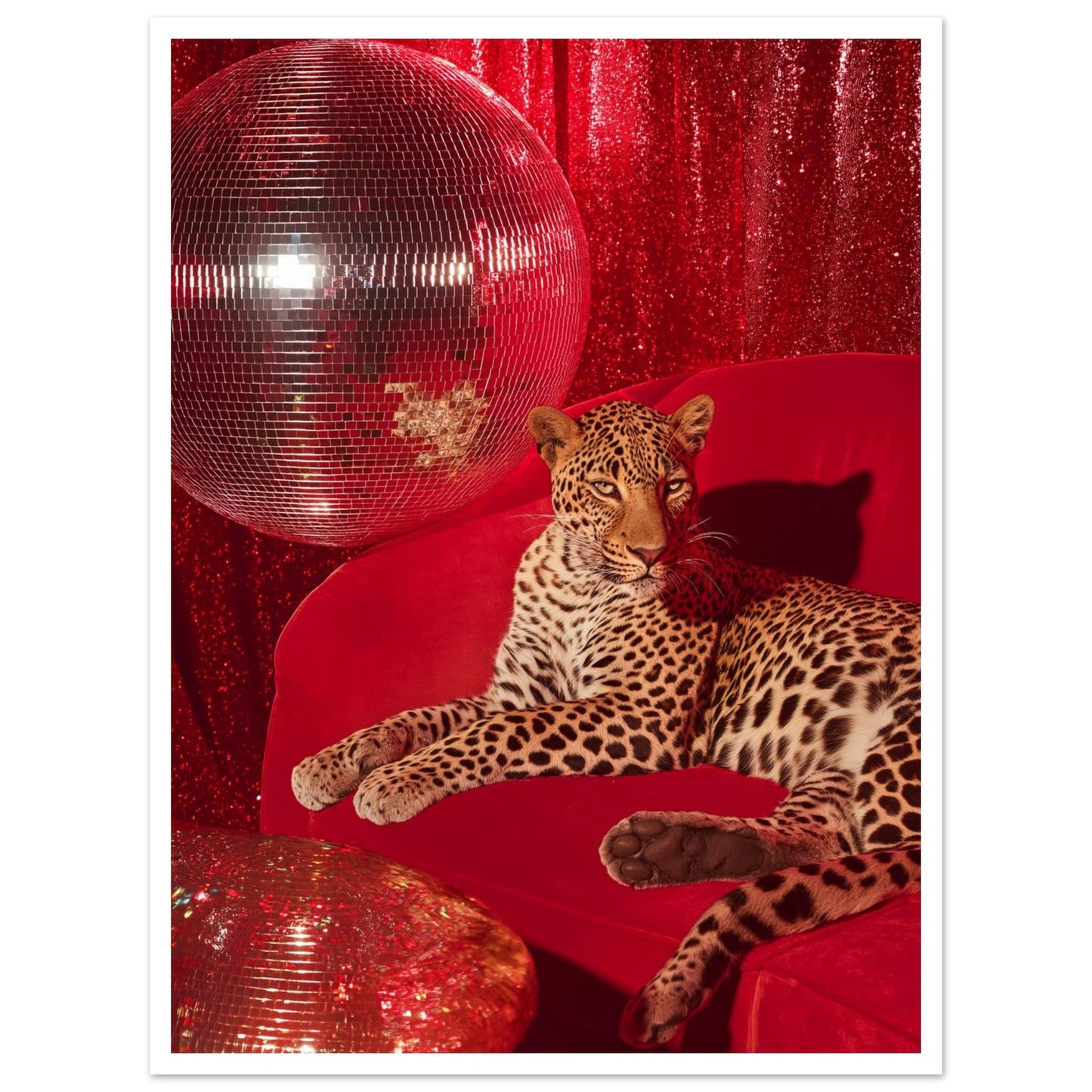 5109ccf9-ce53-4866-9174-8119c3457b1d