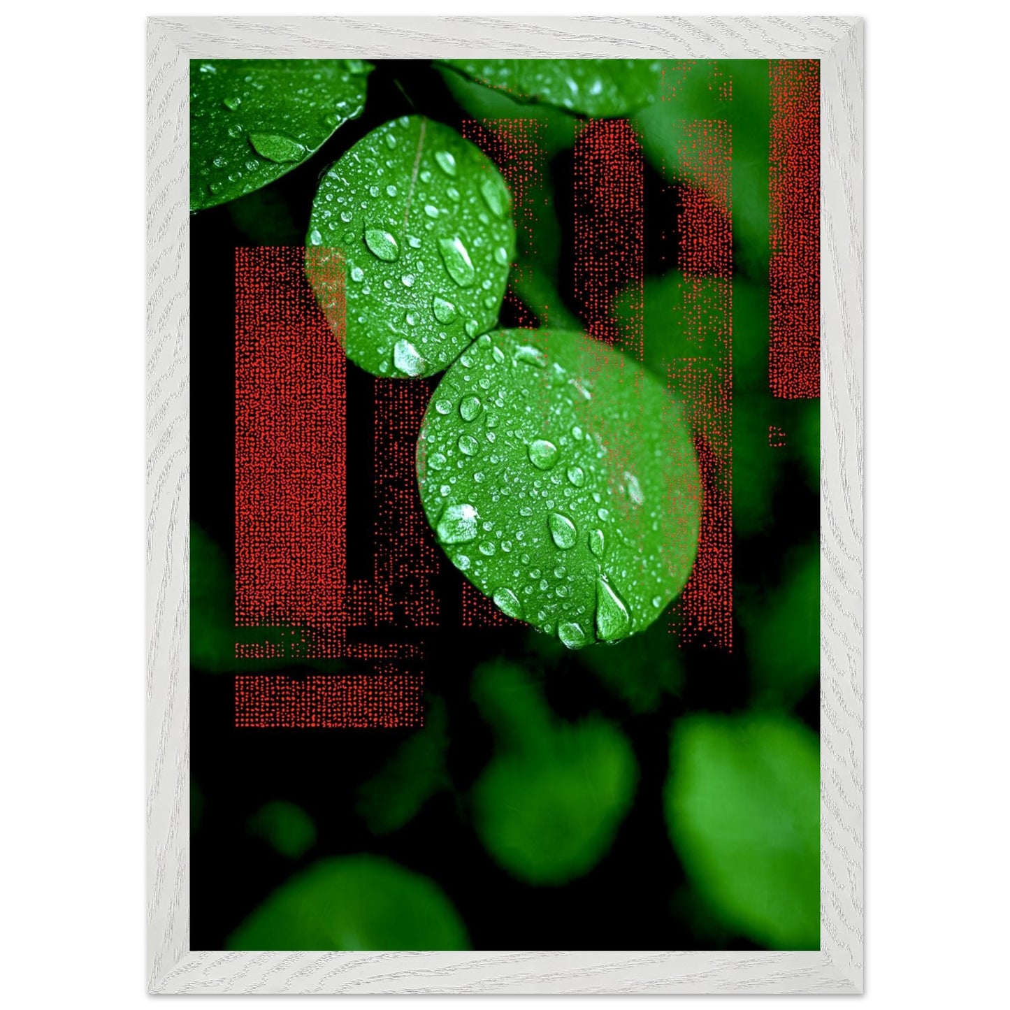 52f2cce3-f205-4daf-9701-c85b4f92b497