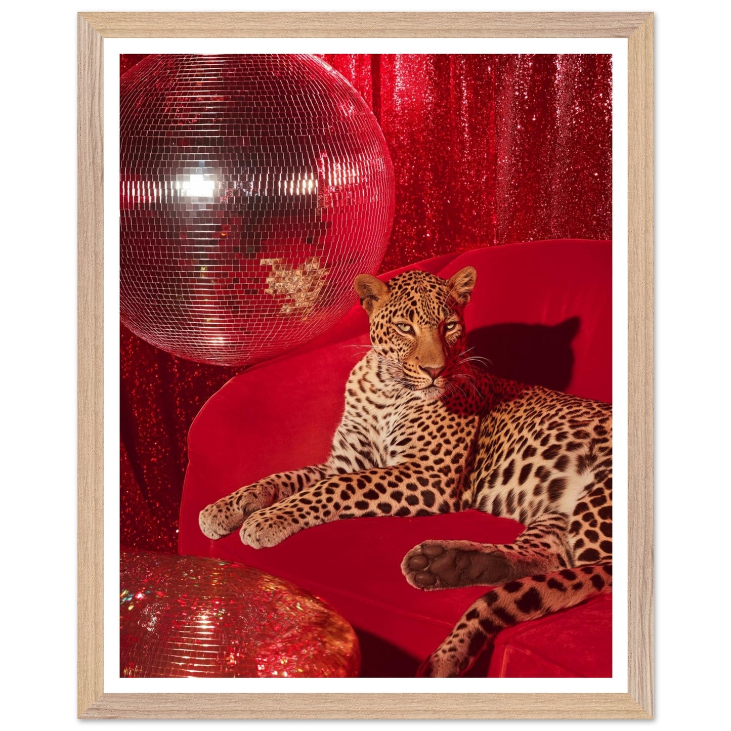 54d43986-e0bb-4758-807e-8e4f59b3630c