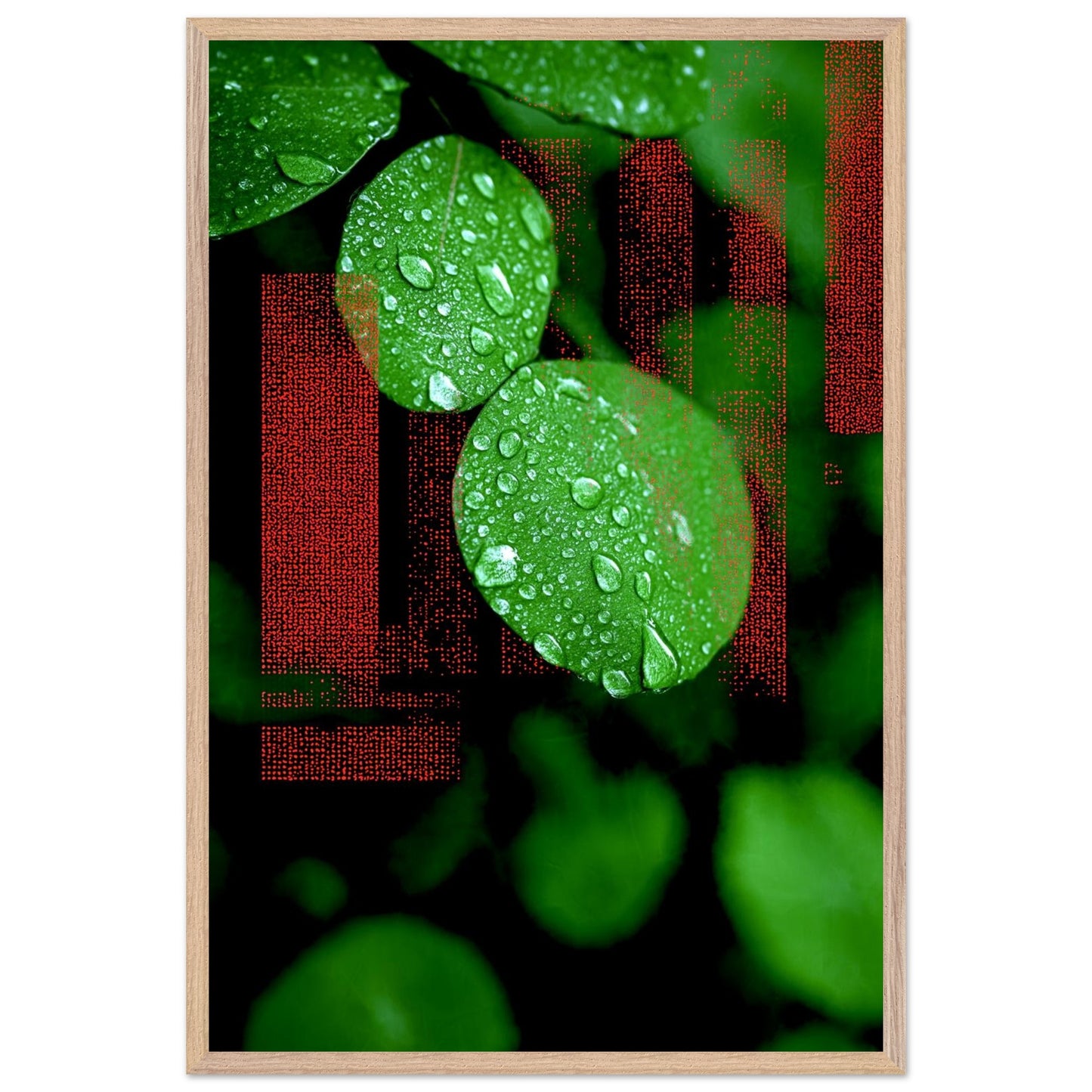 572d0eae-a381-41d8-b2b2-31eb6aa63fc3