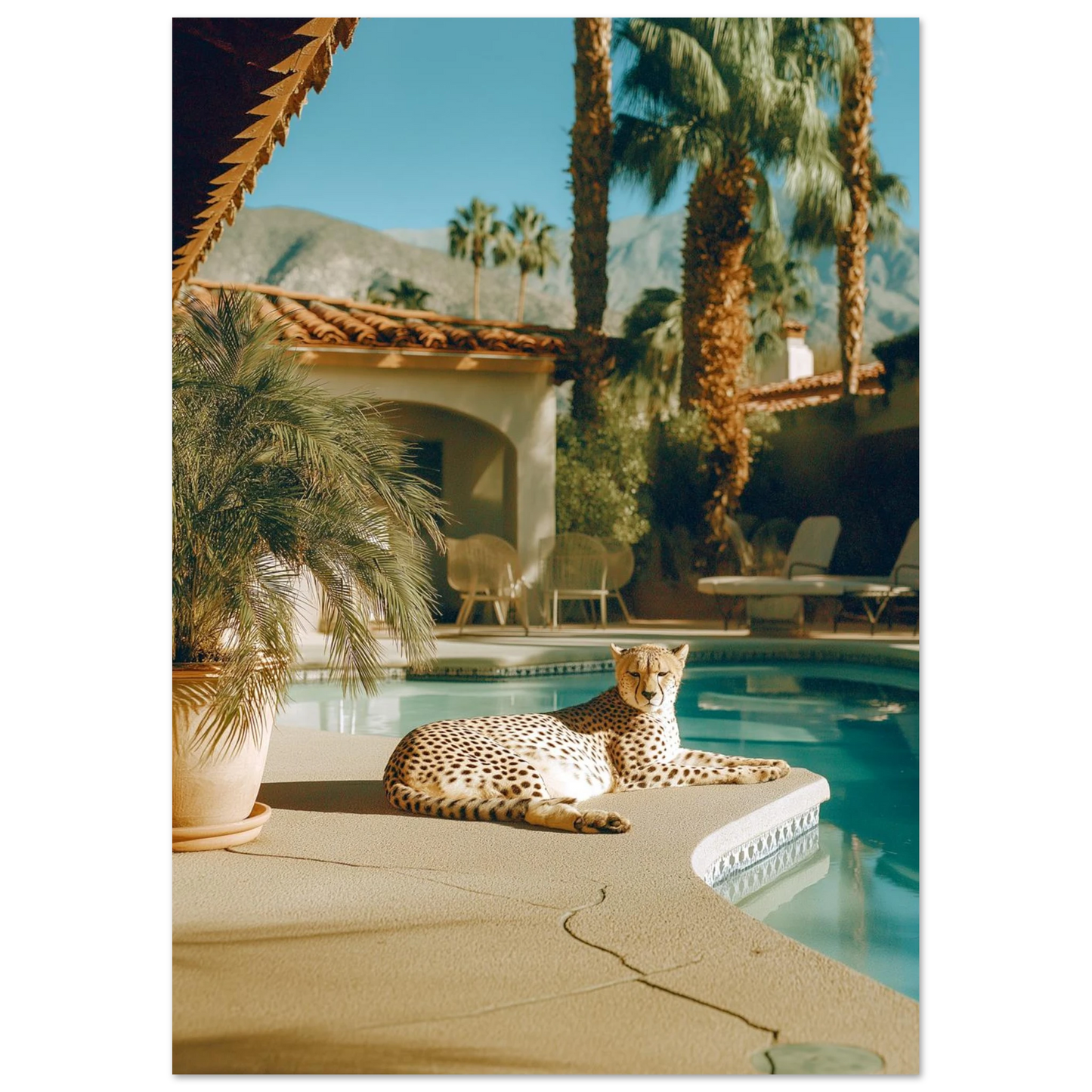 5bc08a91-6939-4d26-806d-2f54c8958fc8