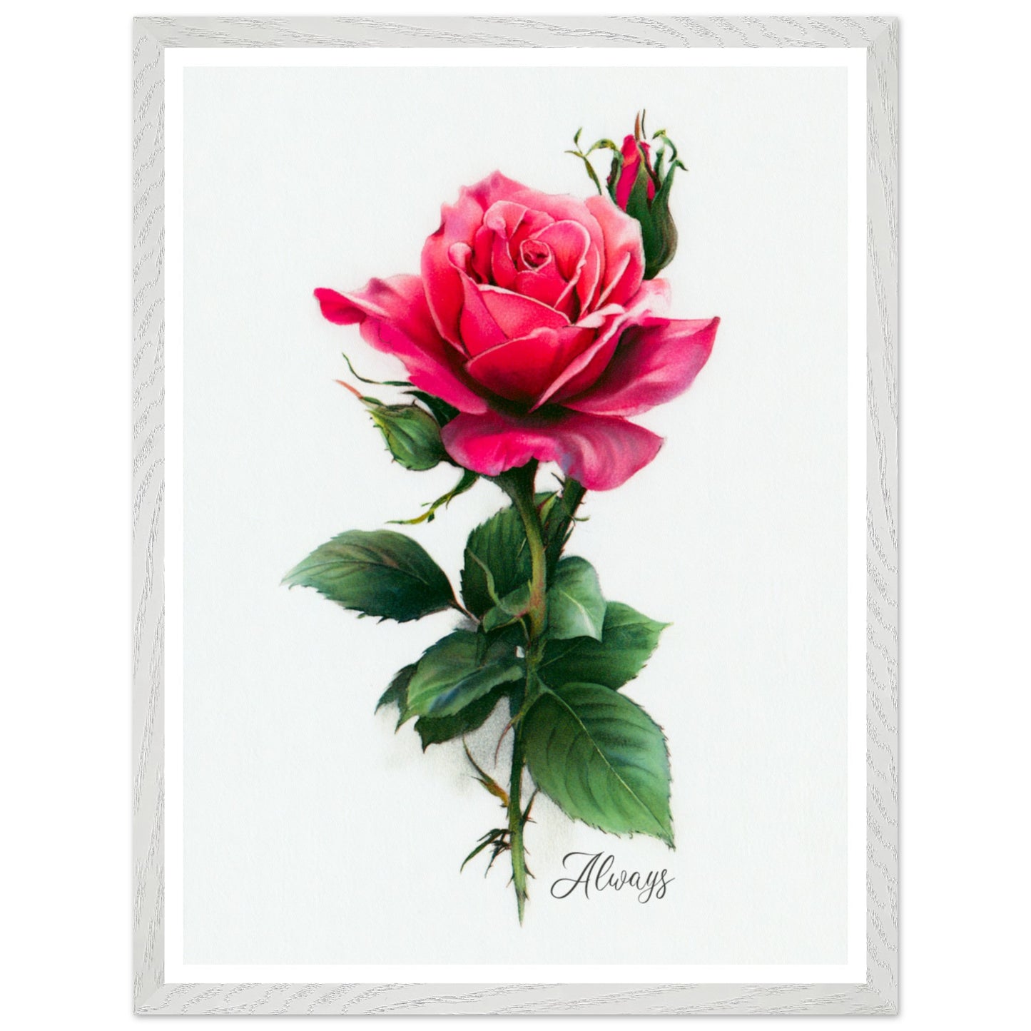 5c6a5511-89a1-42cb-8676-d8299ab2e9ba