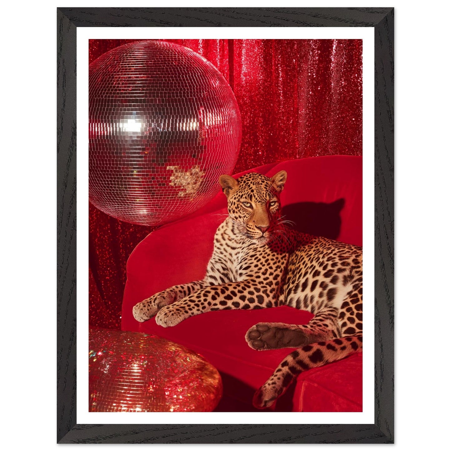 5c896638-2141-4ef2-913e-bb825f78c5a1