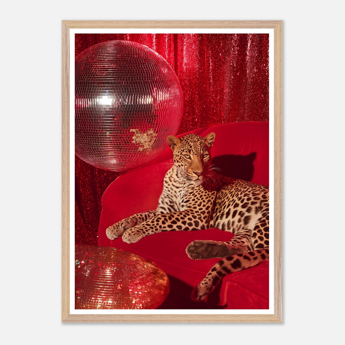 6176c212-5d55-4bdd-95d4-28f5cb92573c