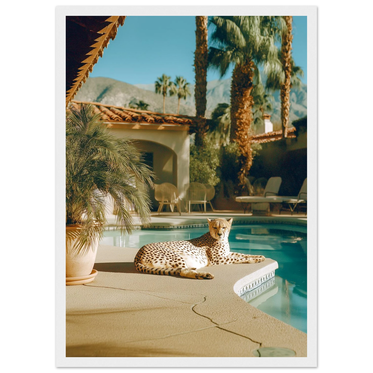 65a0d066-a4ae-4dbe-b215-c6ba0c0b7c79