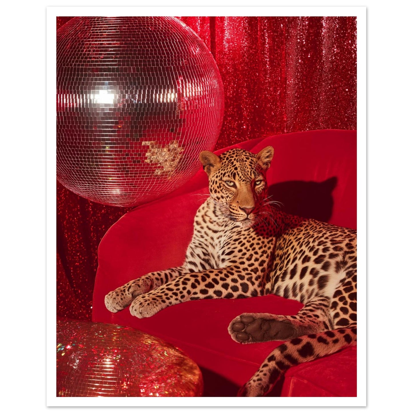 65d73484-8146-4ff7-b581-4d28bd1571cd