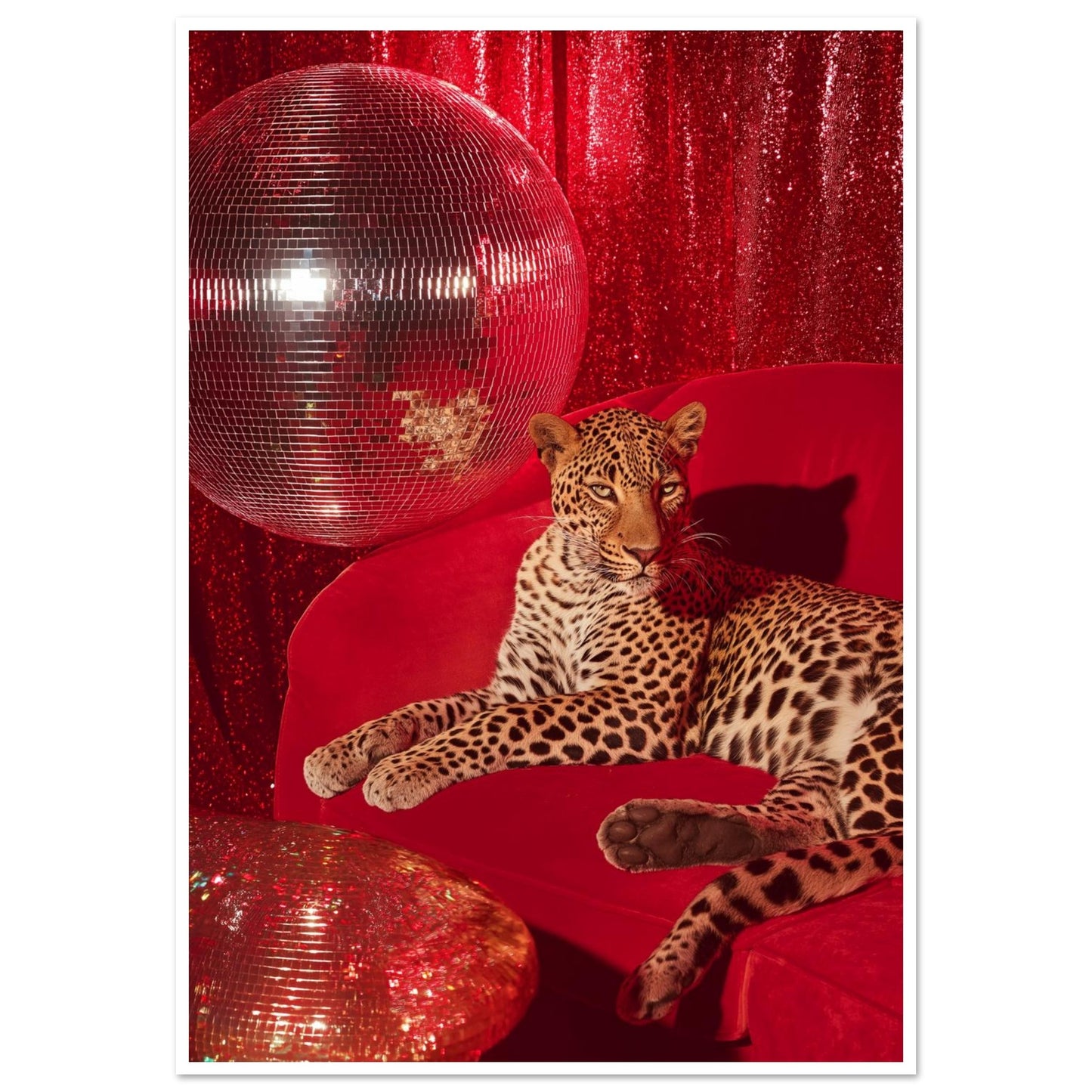 7296bb83-05fe-49bc-8338-7697081e4c3a