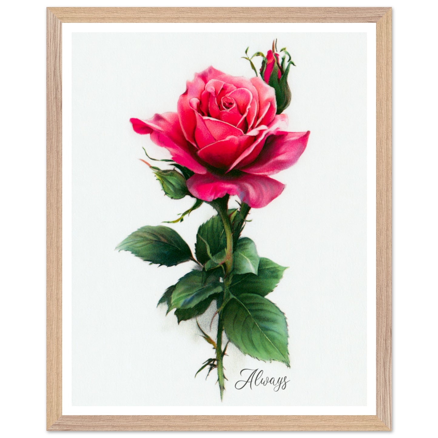 774bdb1e-76f1-43cc-910e-371362949e11