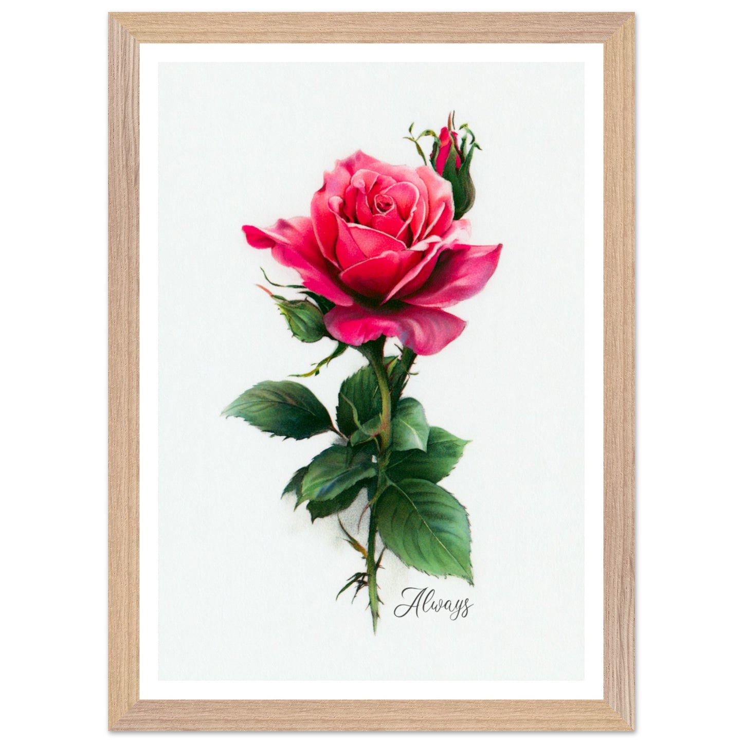 7fcac3d5-b6b6-485e-a16c-93fbb0a9331d