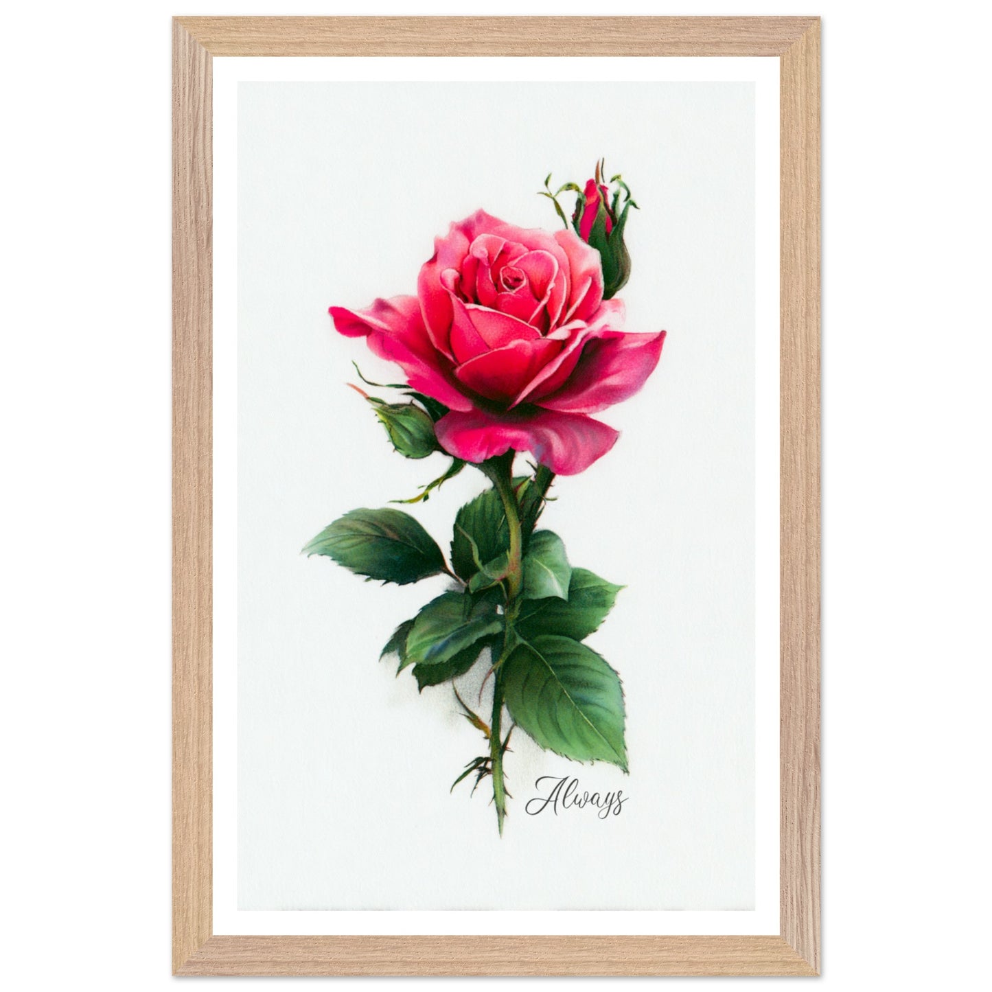 81baa03c-3498-4e02-ae8e-fc6acf555050