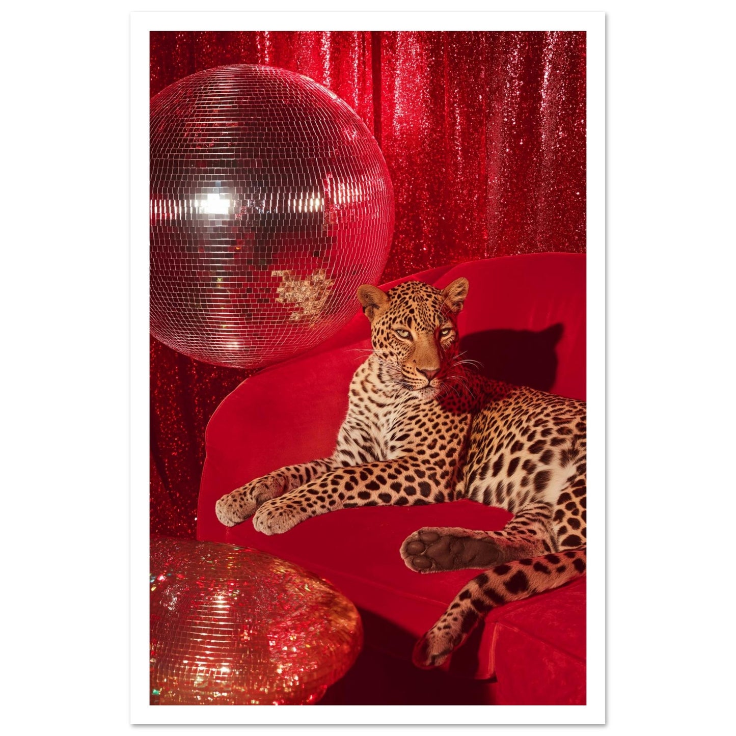 83e0de35-6280-474a-a6c6-ff9b02f7a187