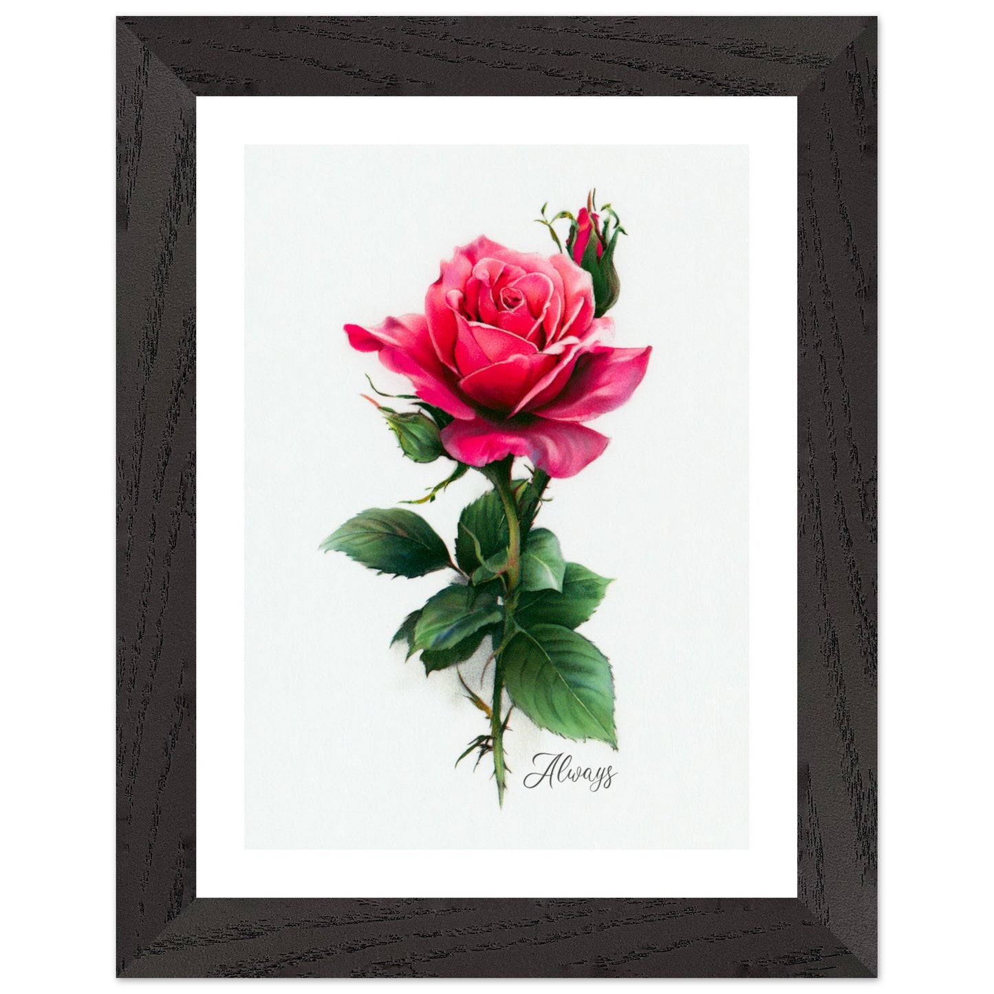 899c64c5-3743-4aa2-aaa0-a47588765217