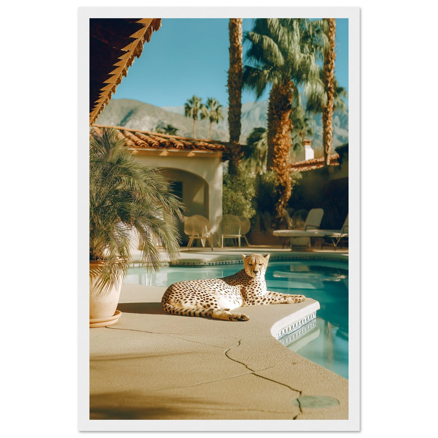 8af82b7d-eff8-4563-a63f-5b841dbb32e5