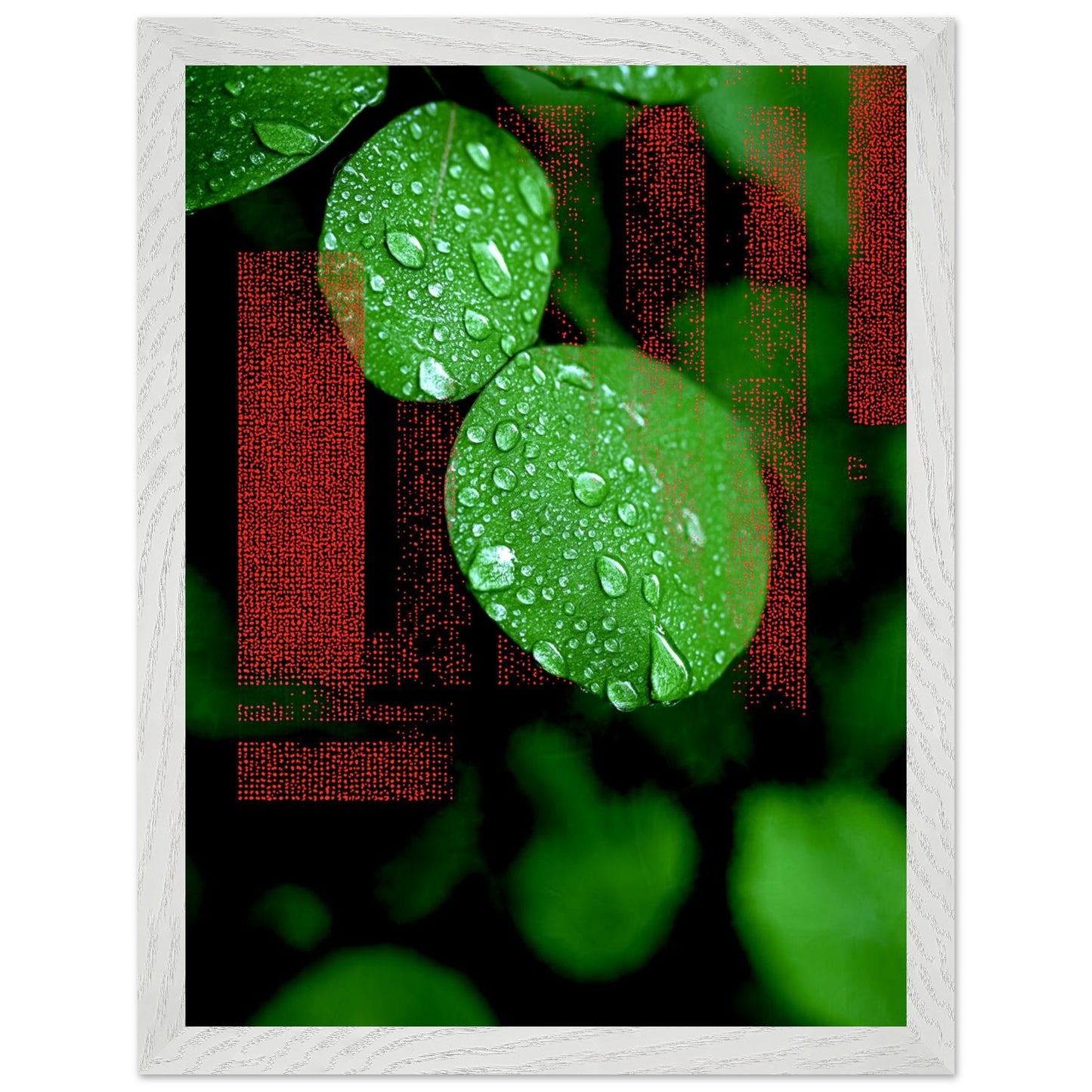 8b6819b9-67df-4a94-9372-8290df655003