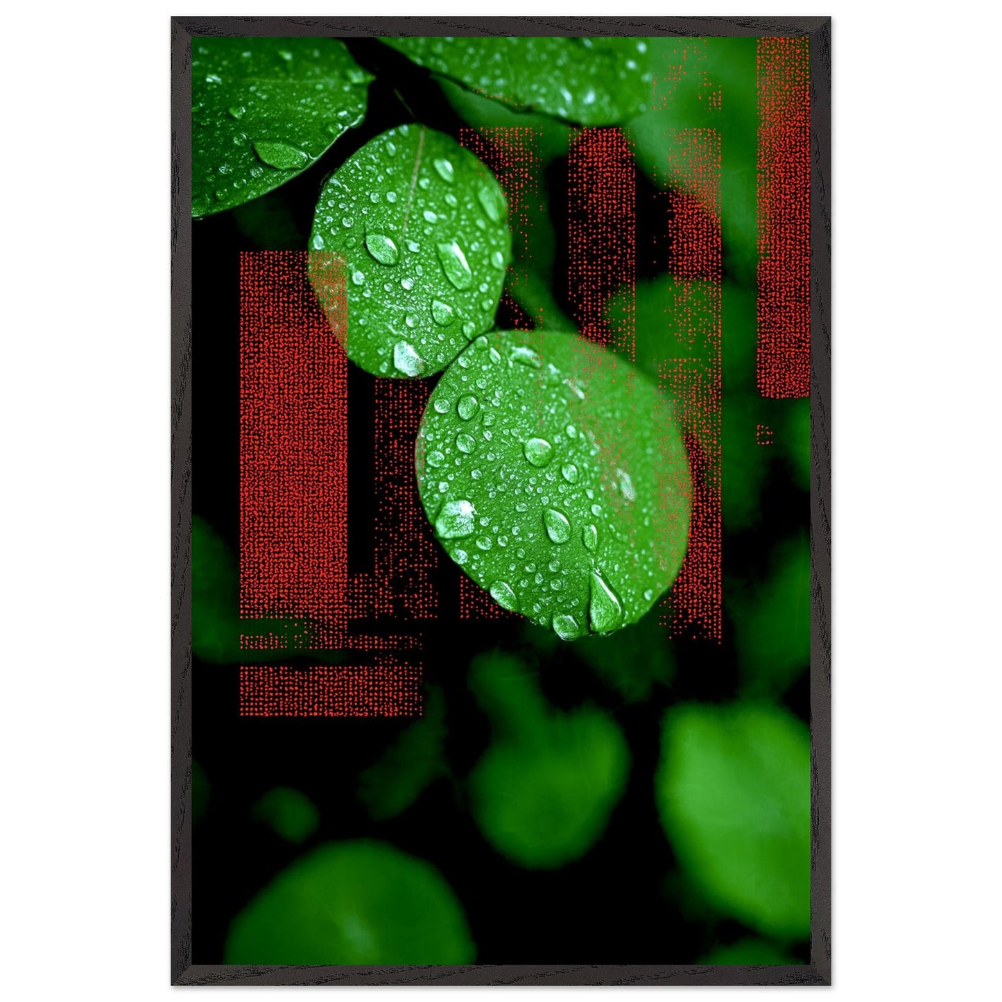 905e1155-893a-4828-93b5-24fff54a11e3