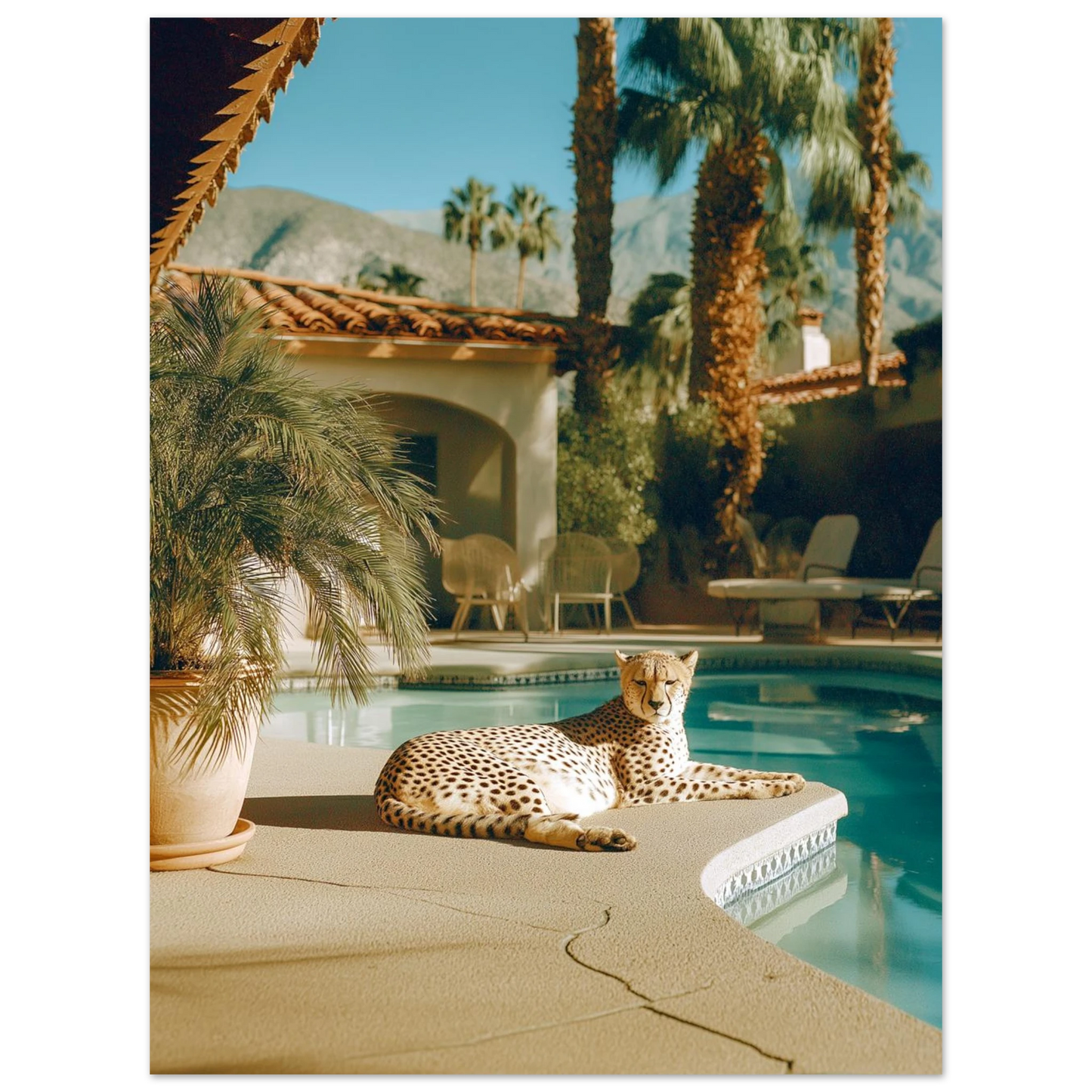 917088fd-b4e6-4d82-a2df-22bb13867d78