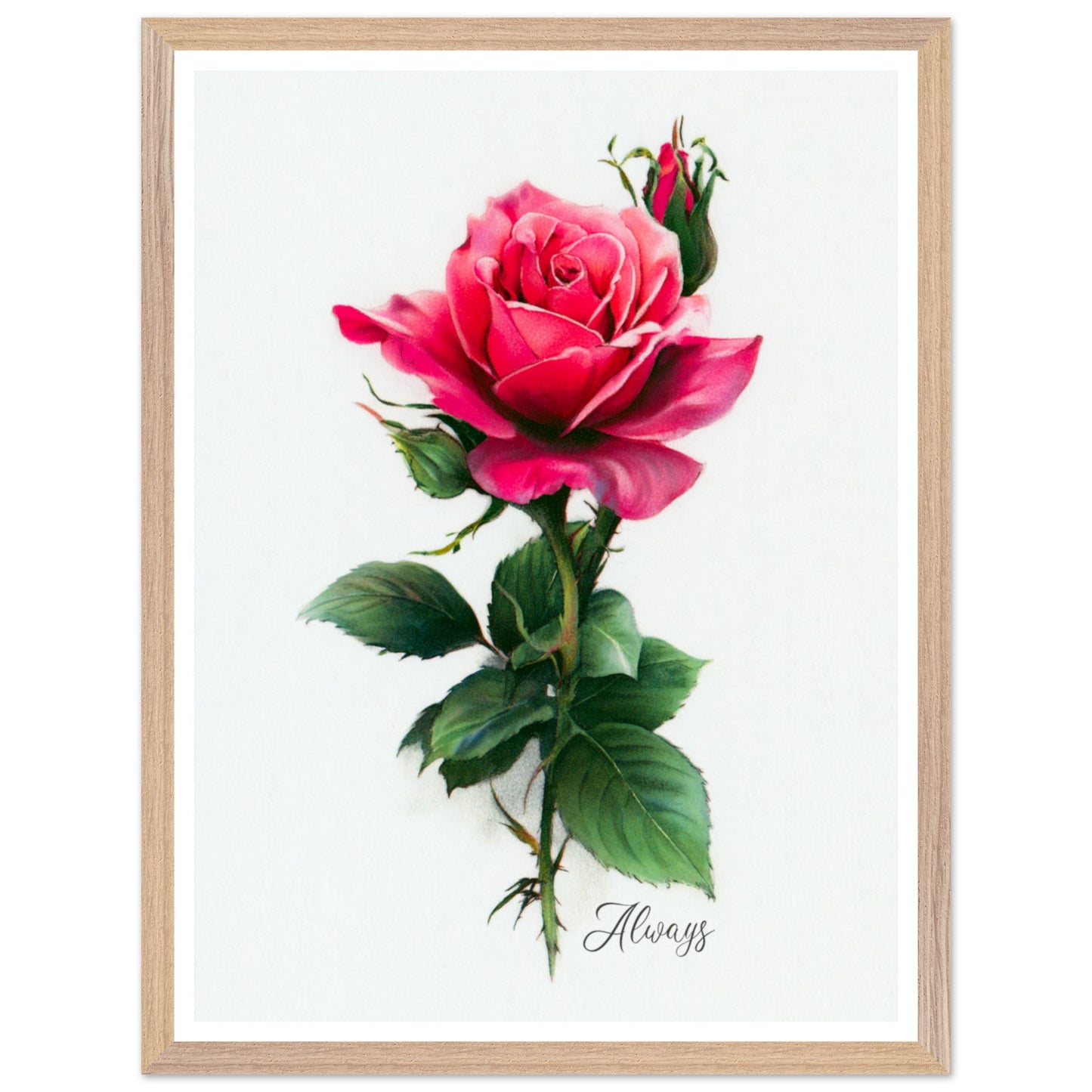 91b43b4e-39fe-48e6-bd72-24548a334af8