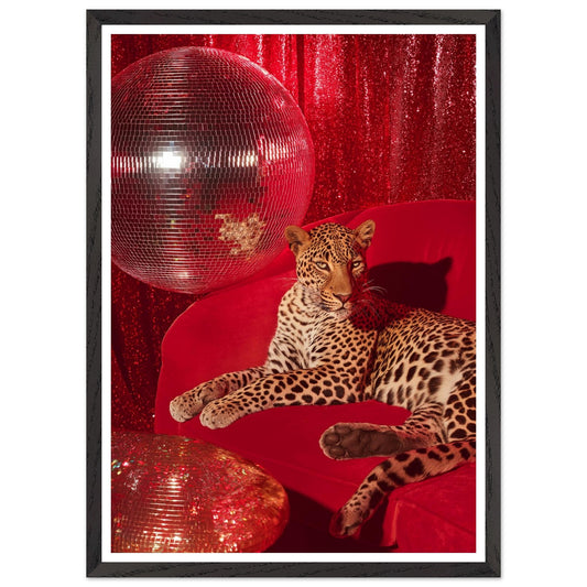 95415a3e-e124-4c83-b463-6633f410249f