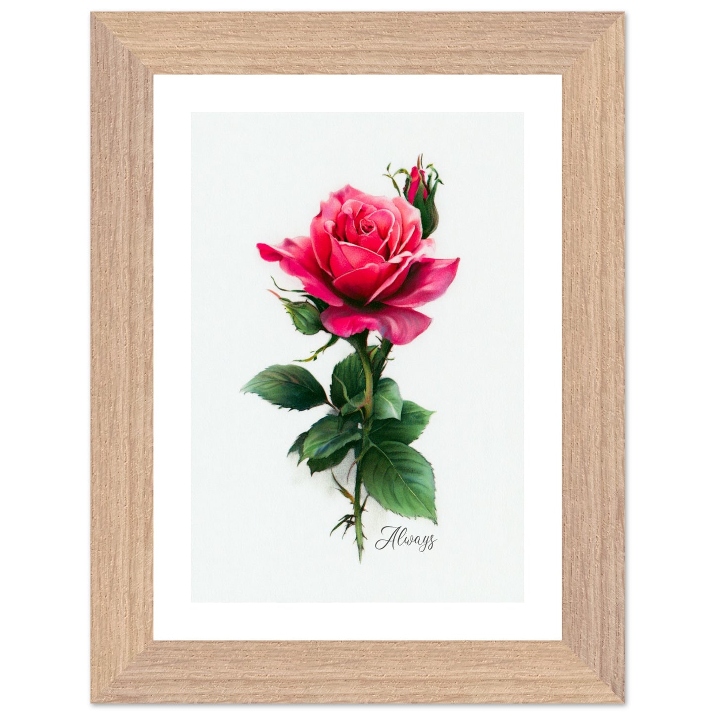 95fdaafc-289c-449d-9cfb-f9eed8723a0c