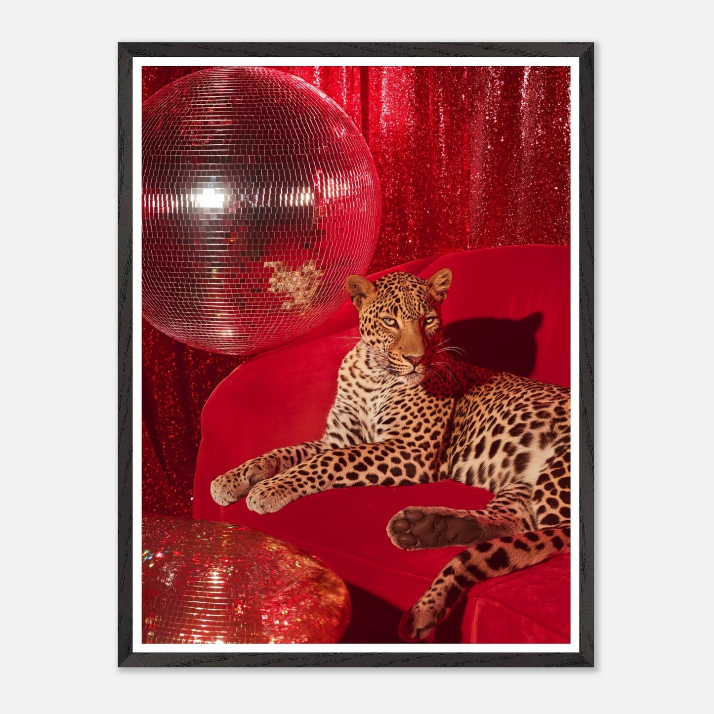 9c198dc0-c19b-48be-8750-abda4311587c