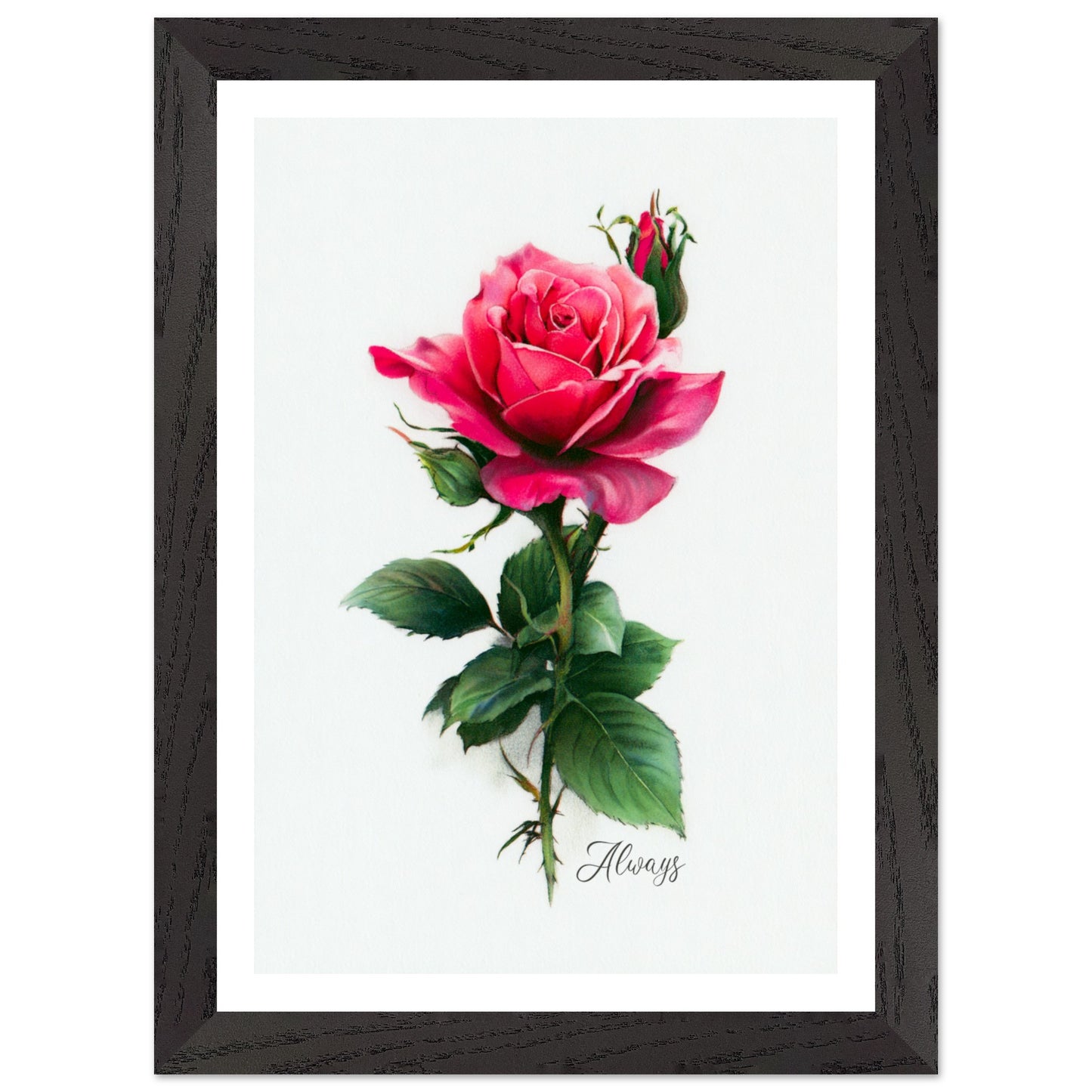 9df7f10d-83d5-4035-b3a2-d96a1be55e96