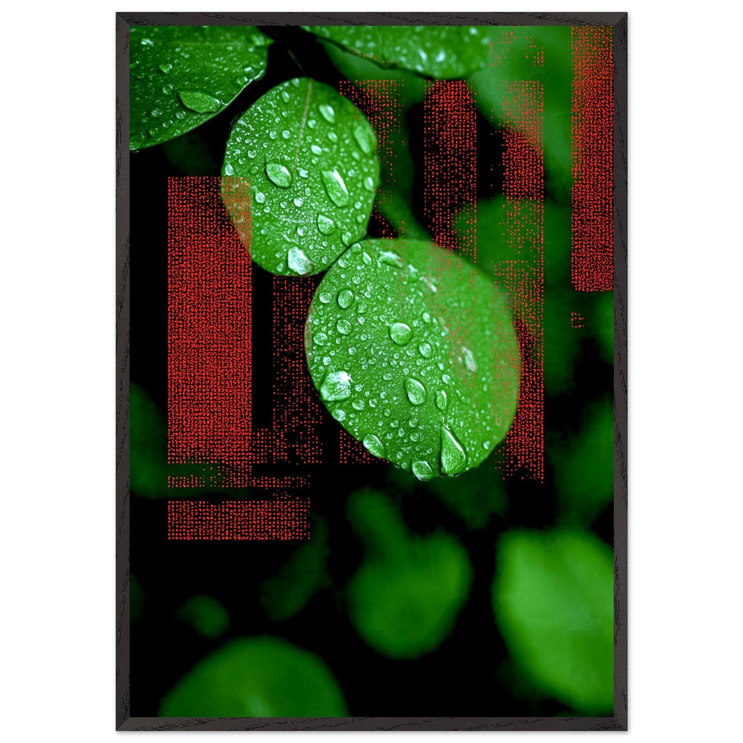 9f35872d-168f-4a7f-8dff-31e79ef2a32a