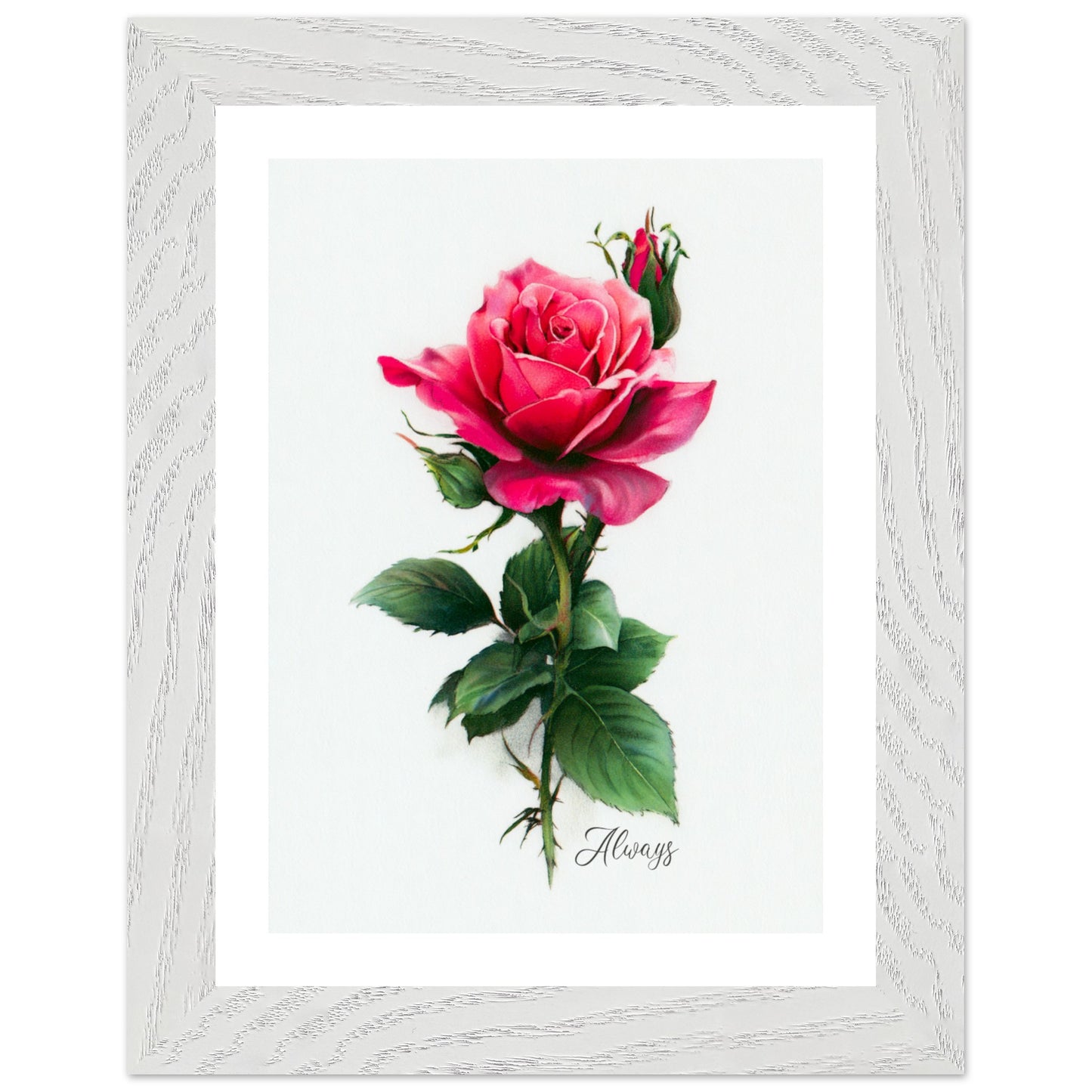 a160adf8-dbc7-4f51-a367-46fcf578e5f0