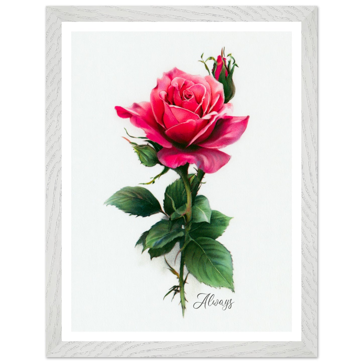 a271cc15-8fa8-497c-a5b4-5da8bbc0442b